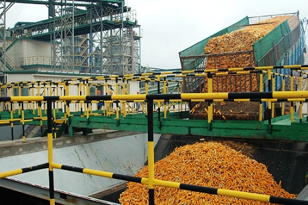 敦煌種業(yè)先鋒良種有限公司酒泉種子加工廠三、四期工程竣工投產(chǎn)