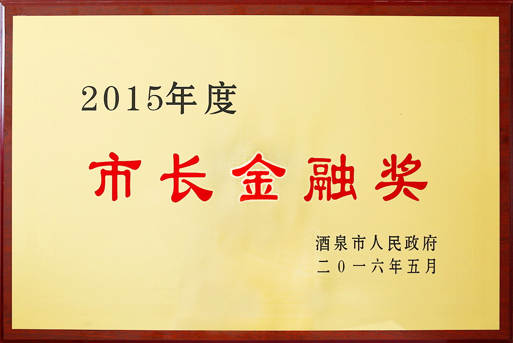 市長(zhǎng)金融獎(jiǎng)獎(jiǎng)牌