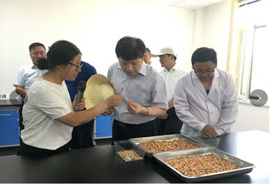 中國(guó)工程院“科技支撐甘肅綠洲農(nóng)業(yè)和玉米種業(yè)可持續(xù)發(fā)展”院士專(zhuān)家團(tuán)隊(duì)考察調(diào)研敦煌種業(yè)生物育種實(shí)驗(yàn)基地
